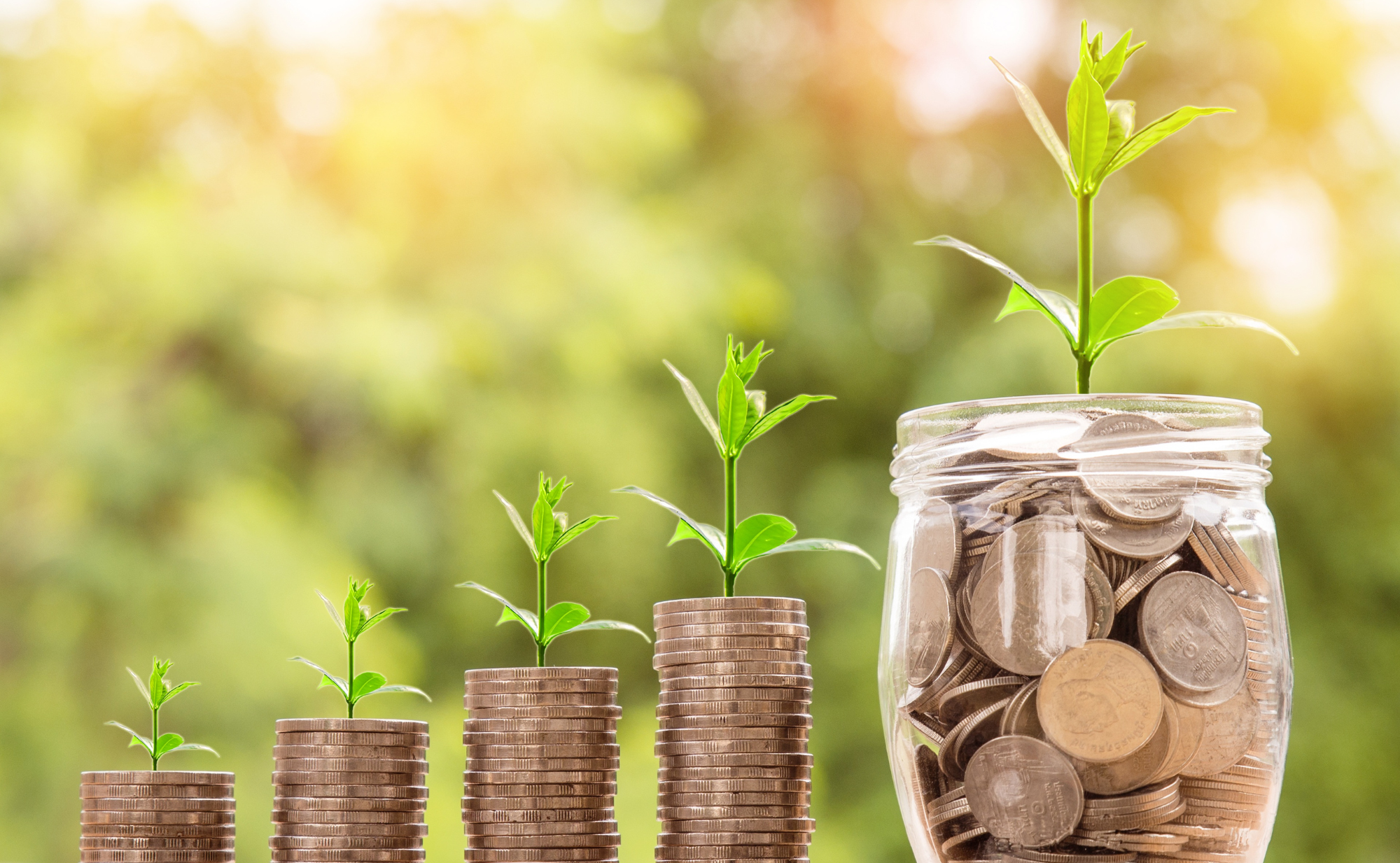 plante sur des pièce avec bocal rempli de pièce et une plante dessus